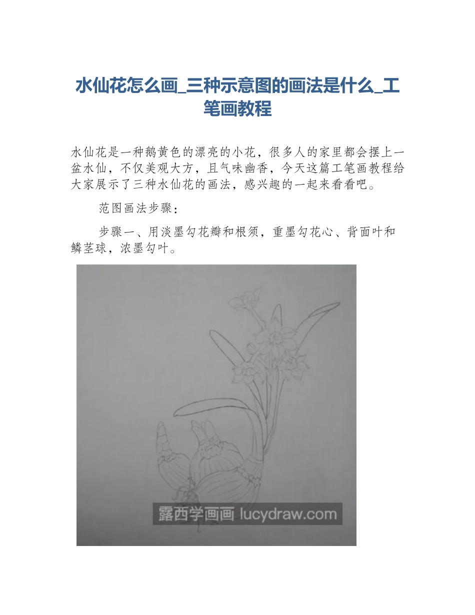 水仙花怎么画_三种示意图的画法是什么_工笔画教程_第1页