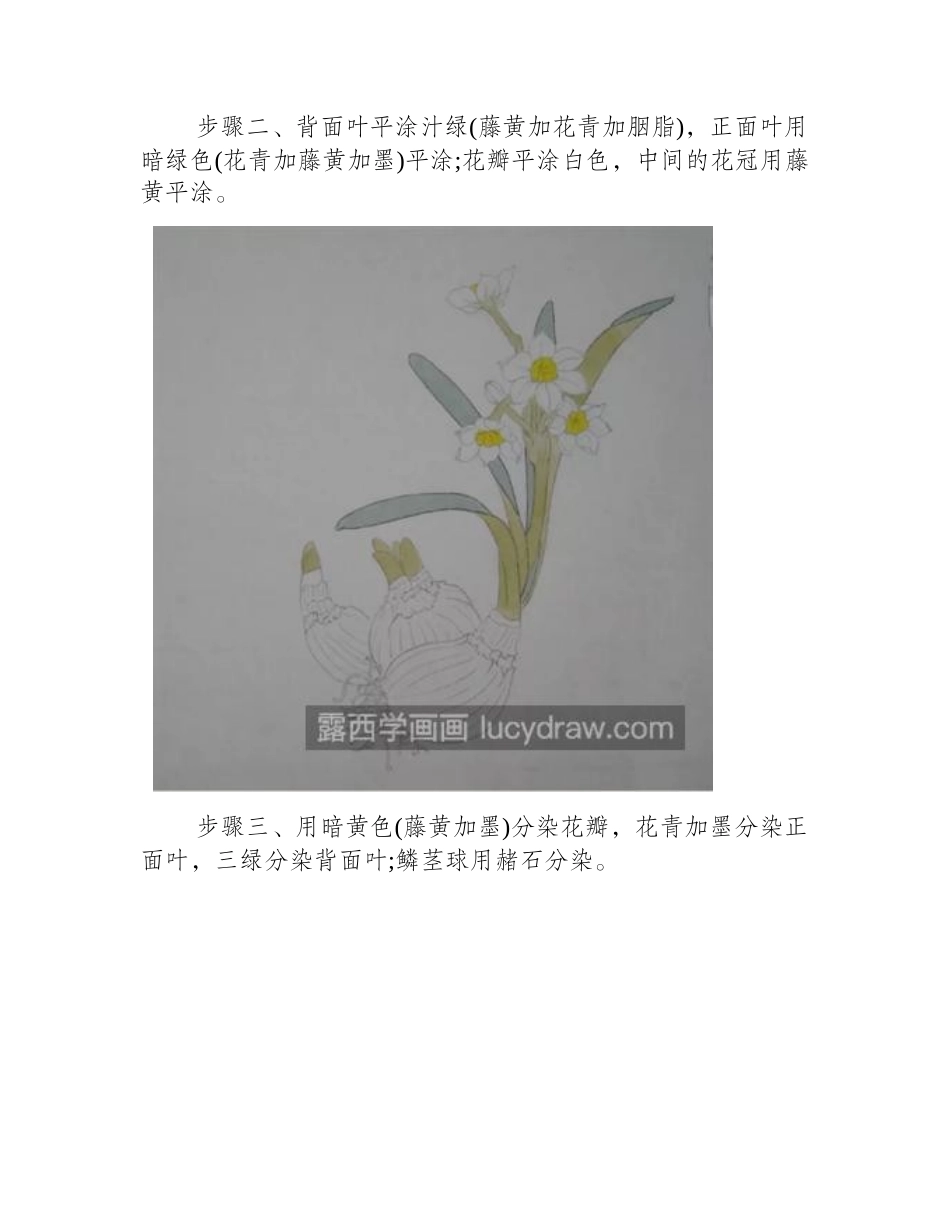 水仙花怎么画_三种示意图的画法是什么_工笔画教程_第2页