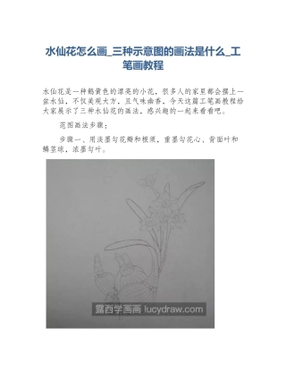 水仙花怎么画_三种示意图的画法是什么_工笔画教程