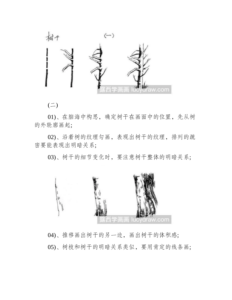 树干速写教程速写教程_第2页