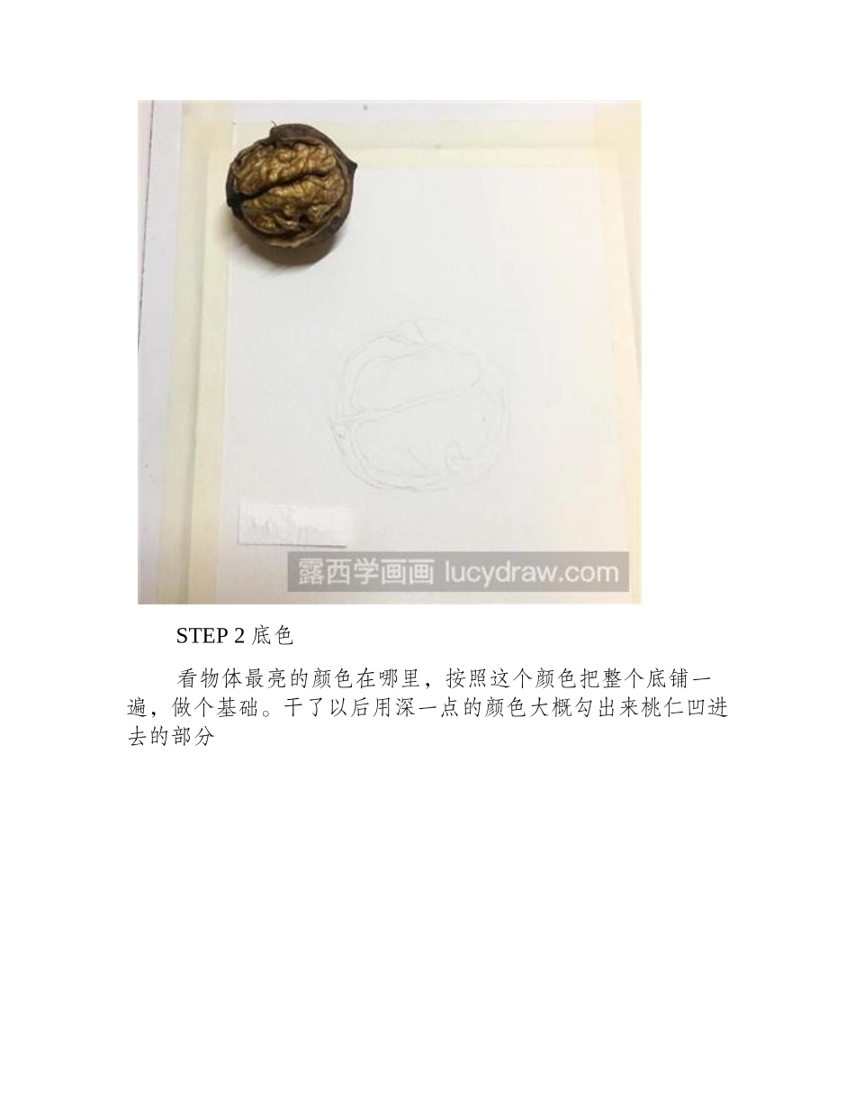 水彩画教程：教你画核桃水彩画教程_第2页