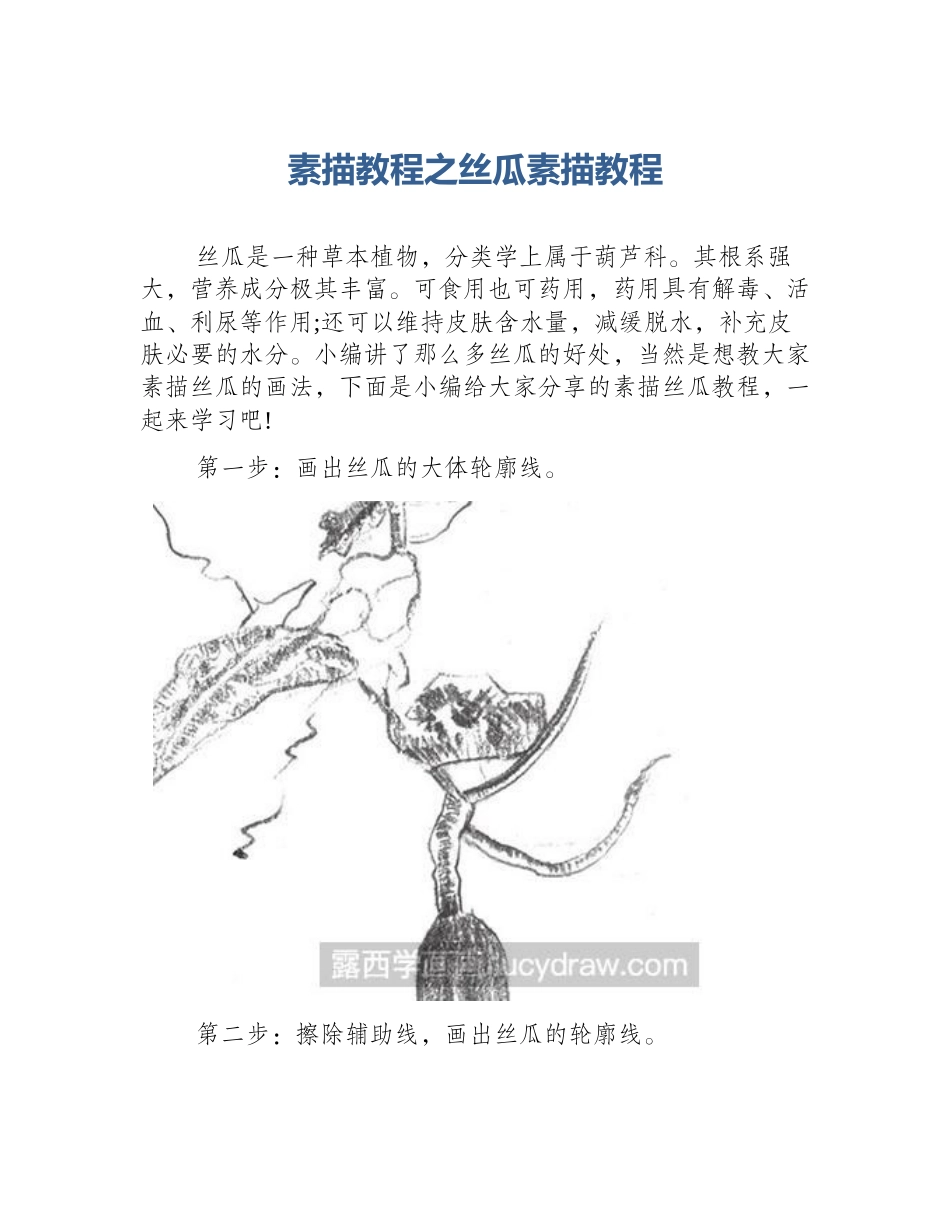 素描教程之丝瓜素描教程_第1页