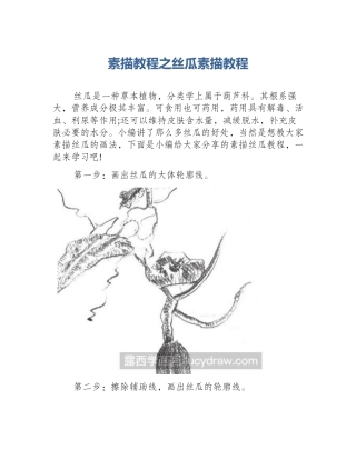 素描教程之丝瓜素描教程