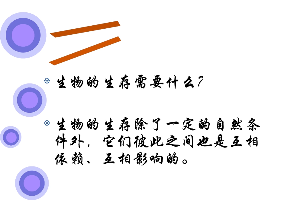 《食物链和食物网》PPT课件3_第2页