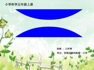 《食物链和食物网》PPT课件3