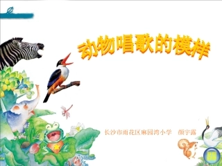 动物唱歌的摸样