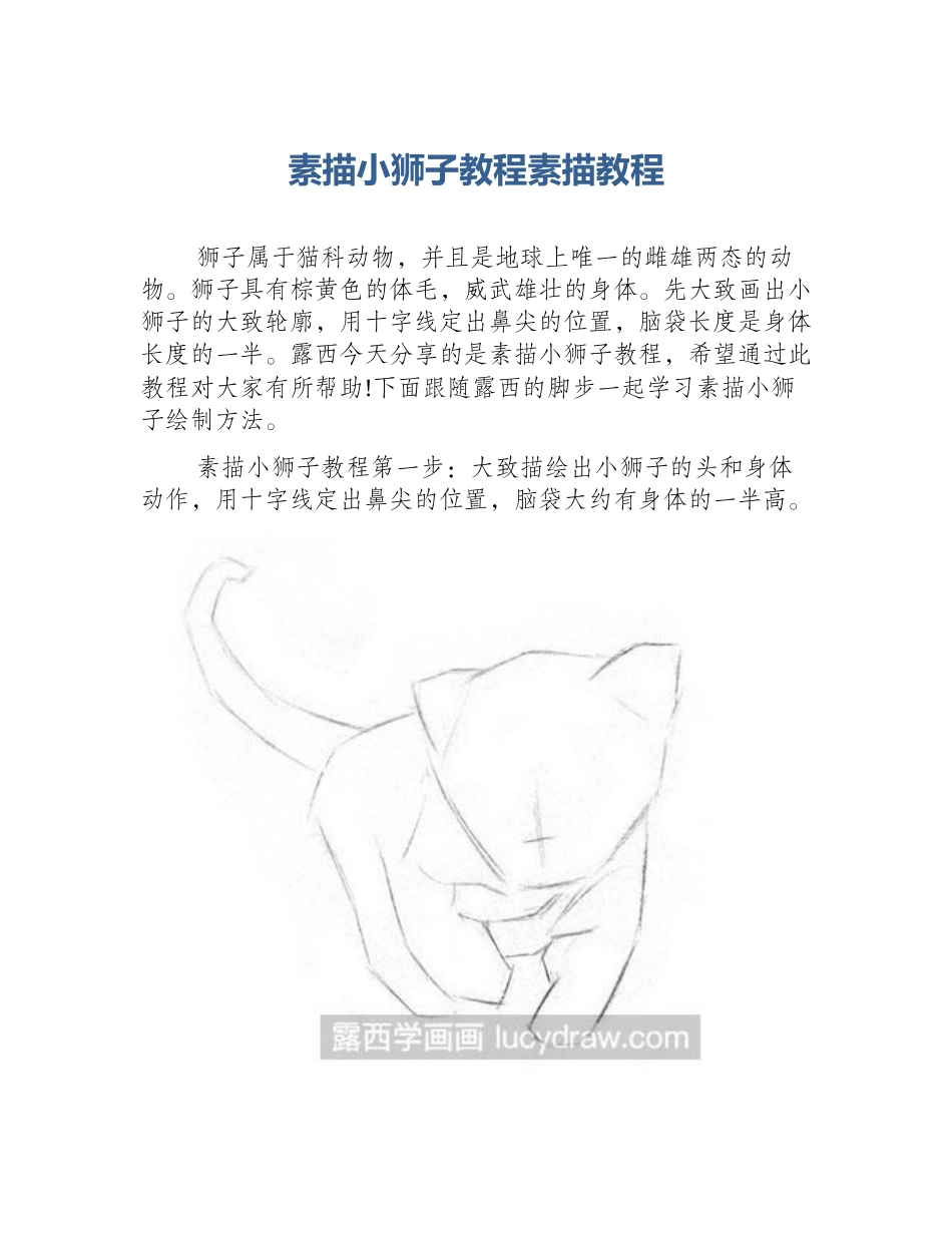 素描小狮子教程素描教程_第1页