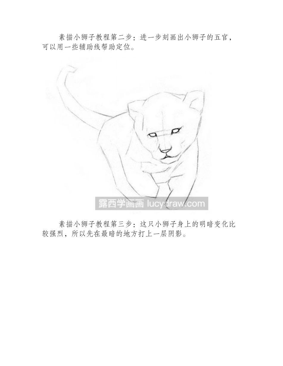 素描小狮子教程素描教程_第2页