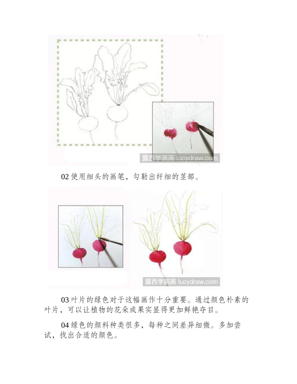 水彩画教程：怎么画樱桃萝卜水彩画教程_第2页