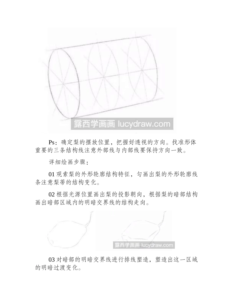 素描教程：怎么画梨素描教程_第2页