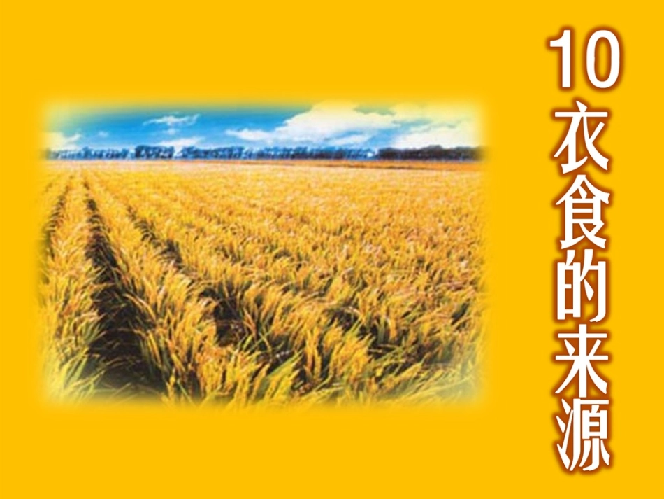 衣食的来源__课件_第1页