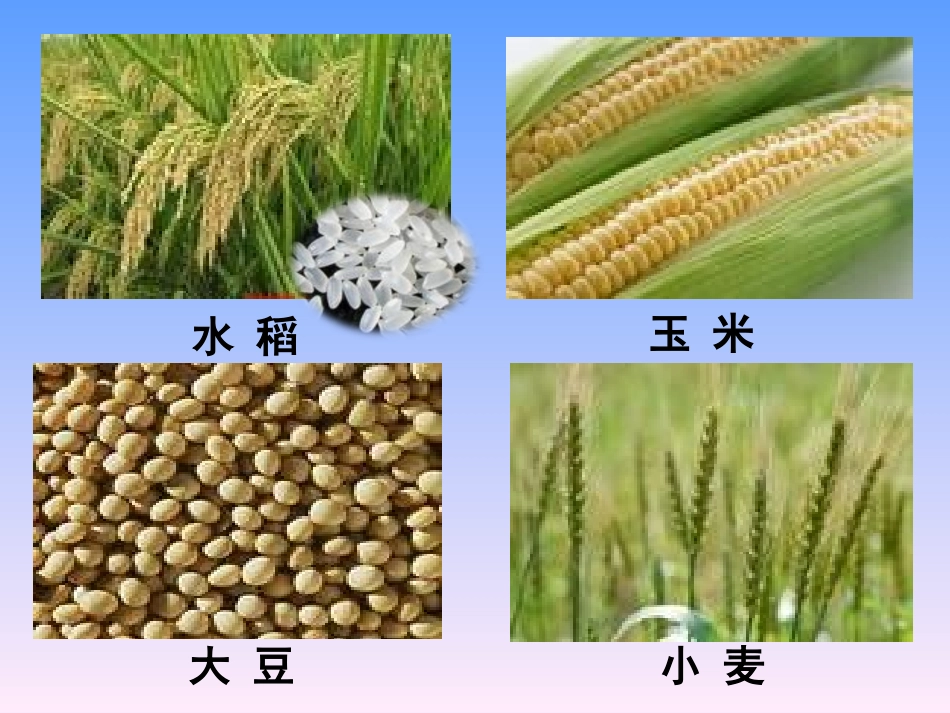 衣食的来源__课件_第3页
