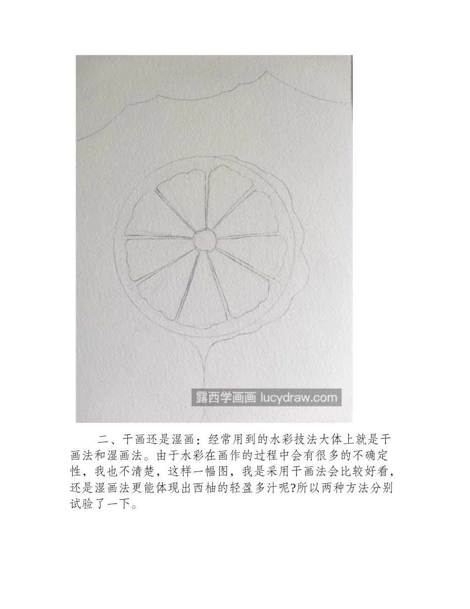 西柚怎么画_如何画一篇写实的西柚_彩铅画教程_第2页