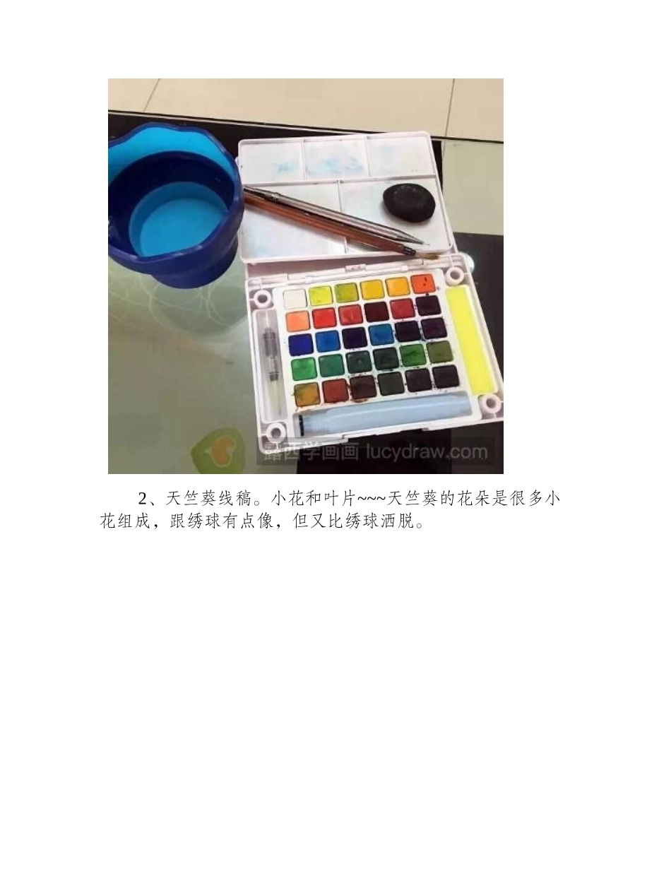 天竺葵水彩画步骤水彩画教程_第2页