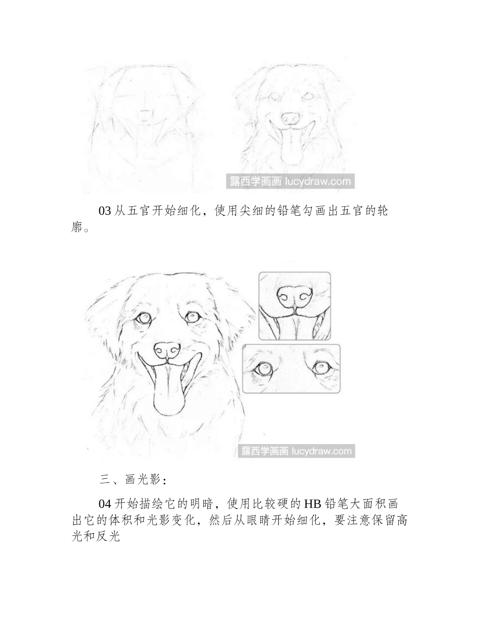 温顺狗狗素描教程素描教程1_第2页