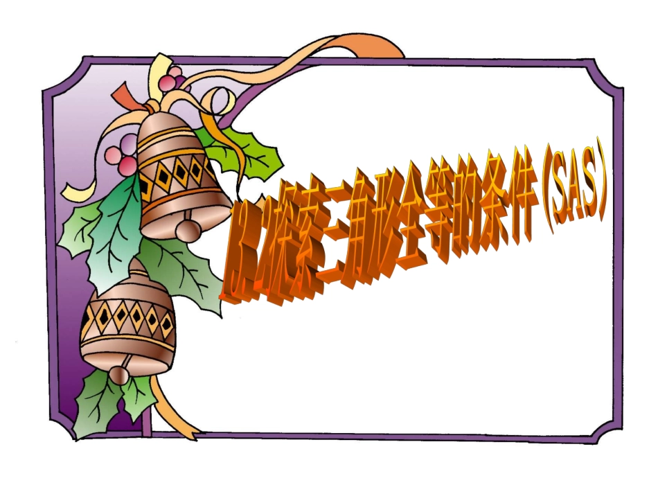 三角形全等的判定2 (2)_第1页