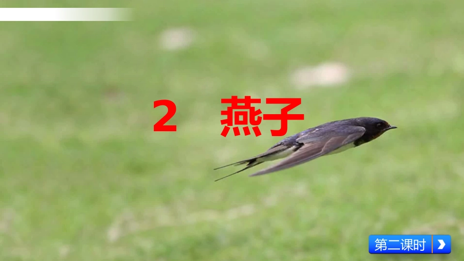 三年级语文下册2课燕子_第1页