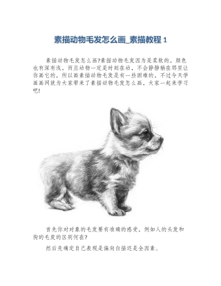素描动物毛发怎么画_素描教程1