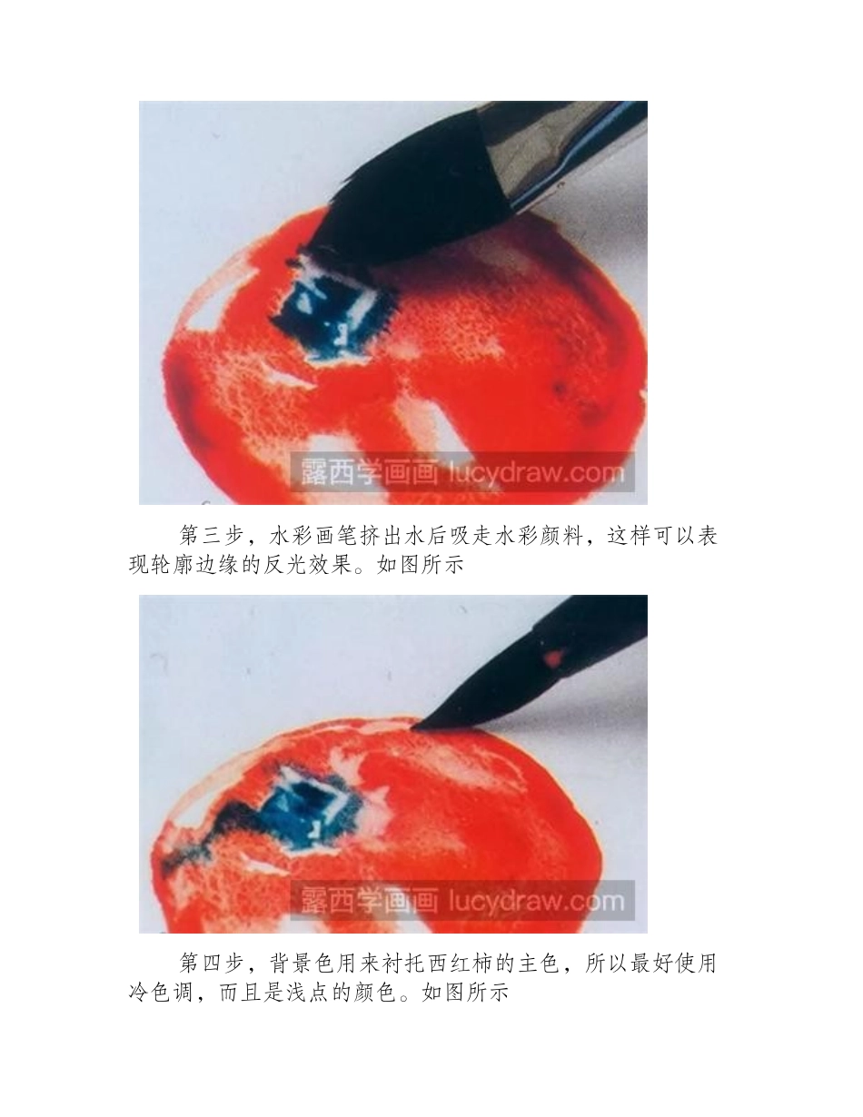水彩画教程：如何画西红柿水彩画教程_第2页