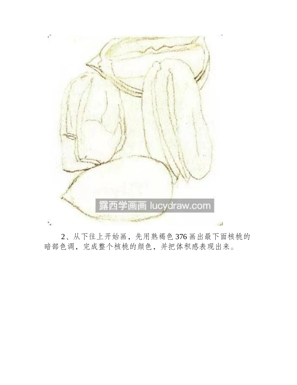 山核桃怎么画_有哪些彩铅步骤_彩铅画教程_第2页