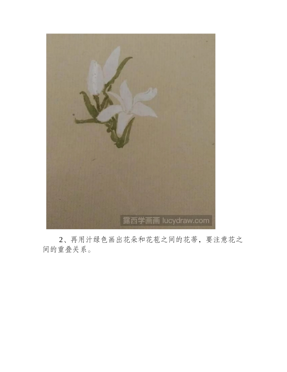 晚香玉怎么画_教你用没骨法画一株晚香玉！国画教程_第2页
