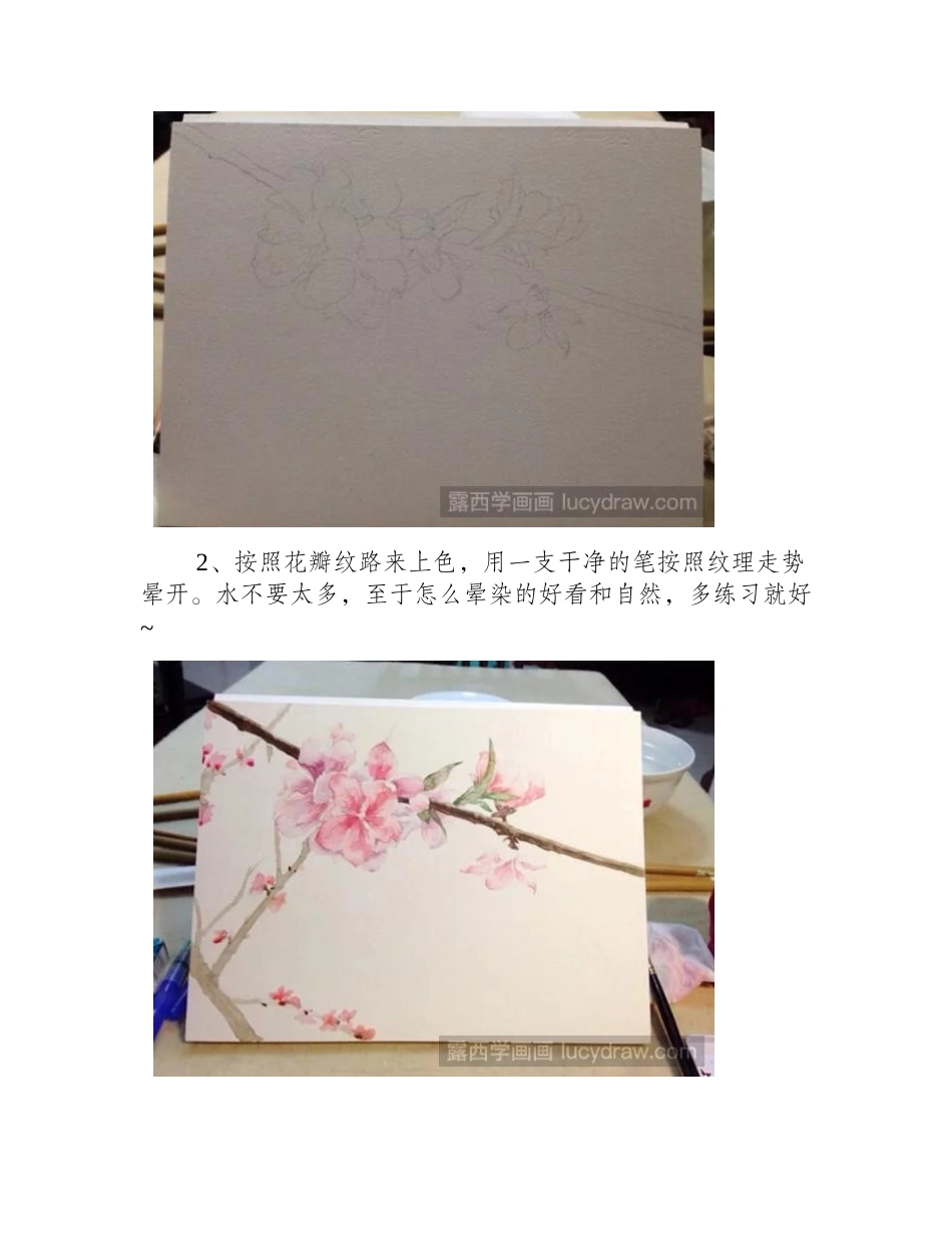 水彩画教程：怎么画桃花水彩画教程1_第2页