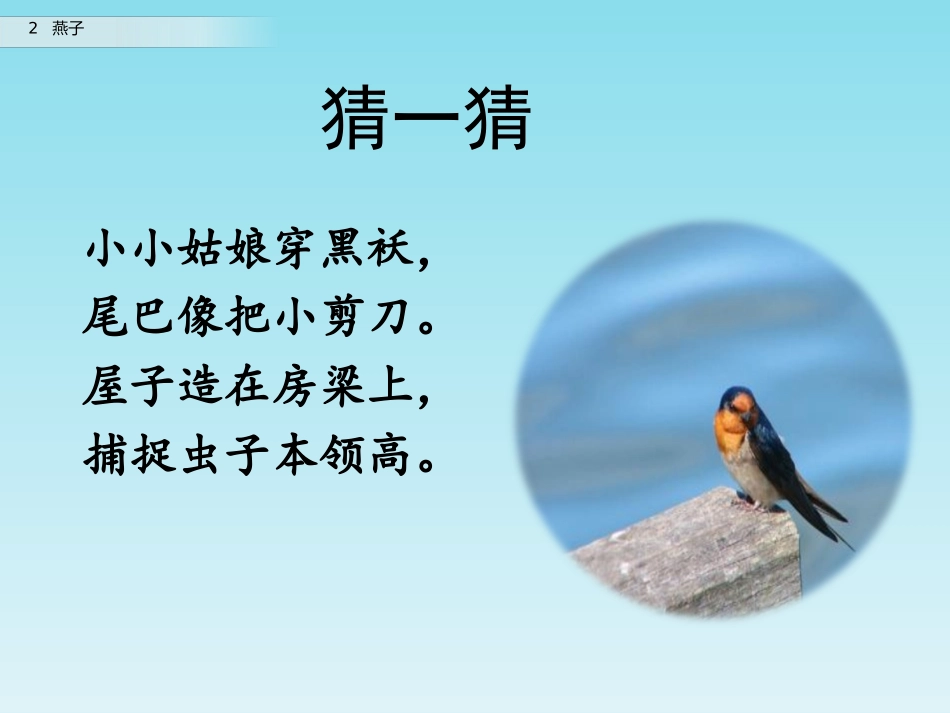 人教2011版小学语文三年级下册燕子_第2页