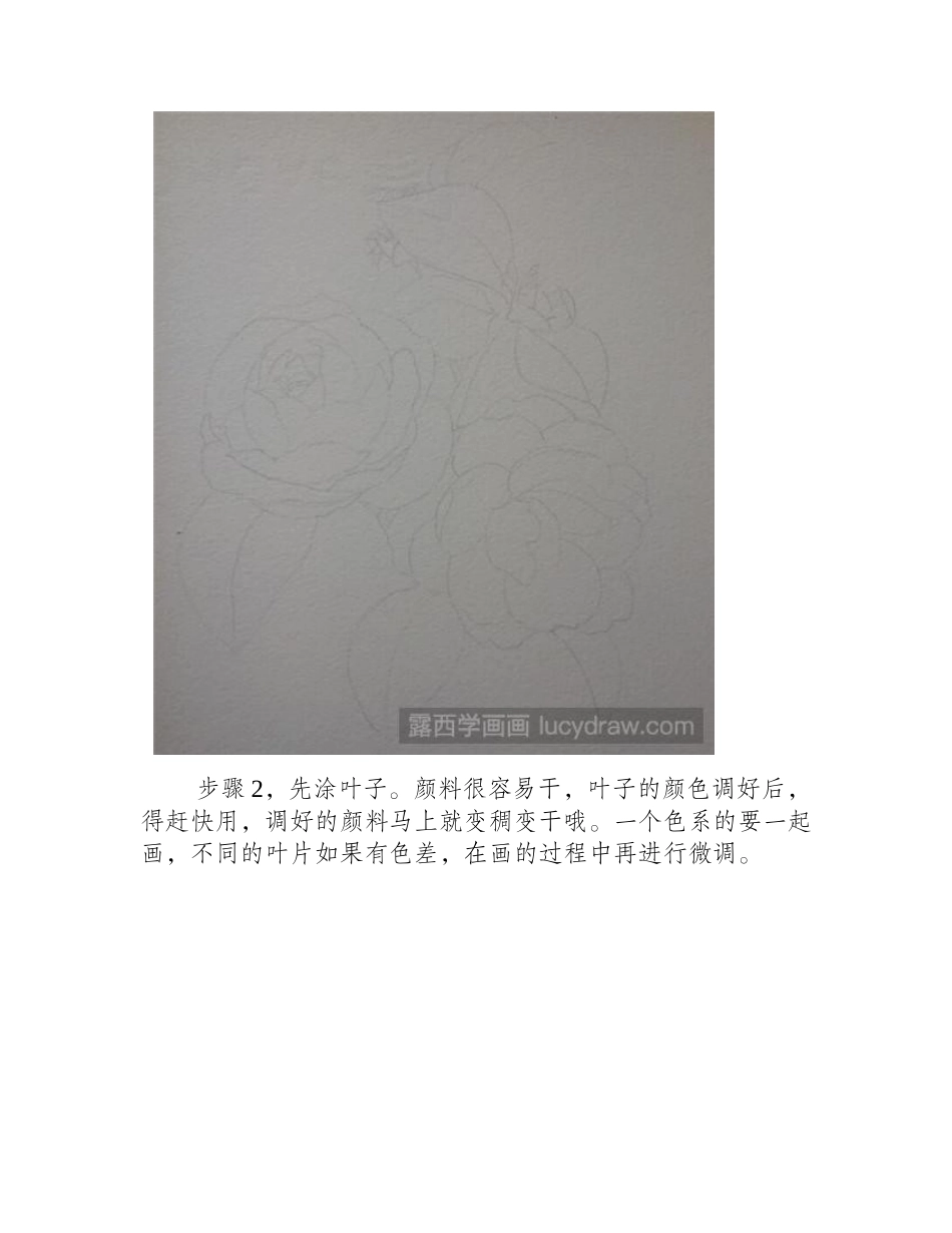 山茶花水彩画教程水彩画教程_第2页