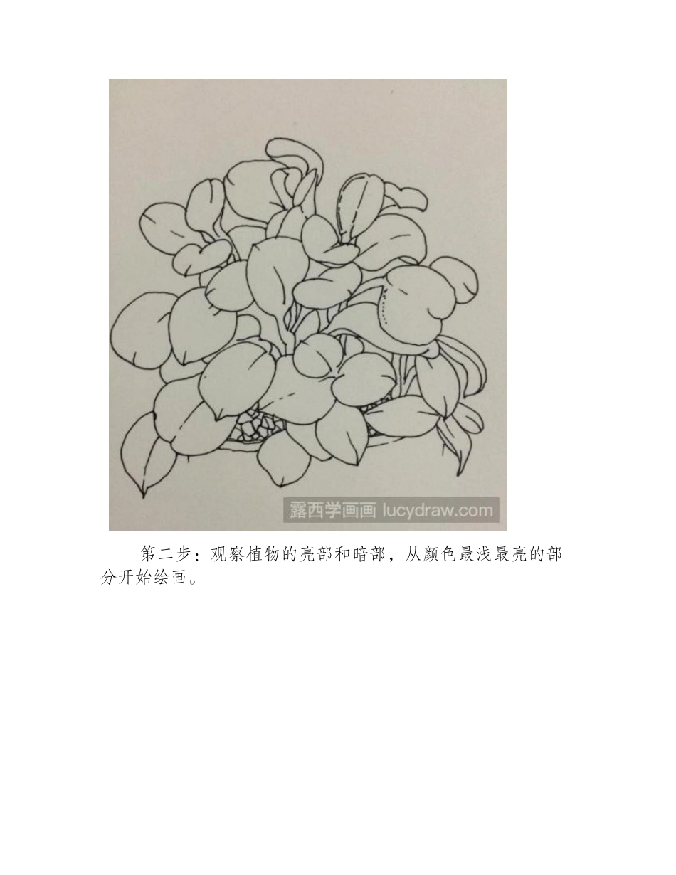 水彩画：教你画一颗肉嘟嘟的多肉水彩画教程1_第2页