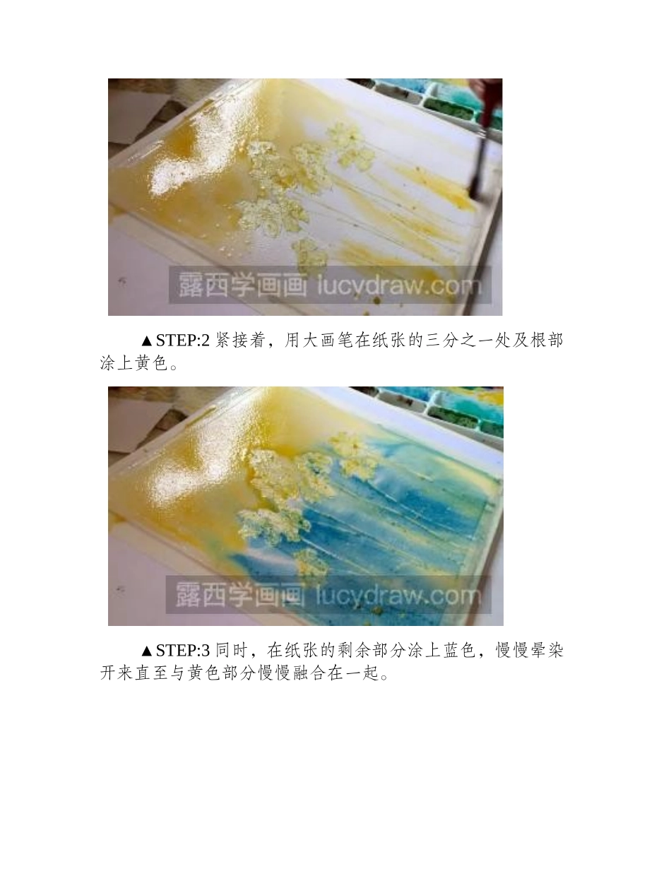 水彩画白色小雏菊步骤教程水彩画教程_第2页