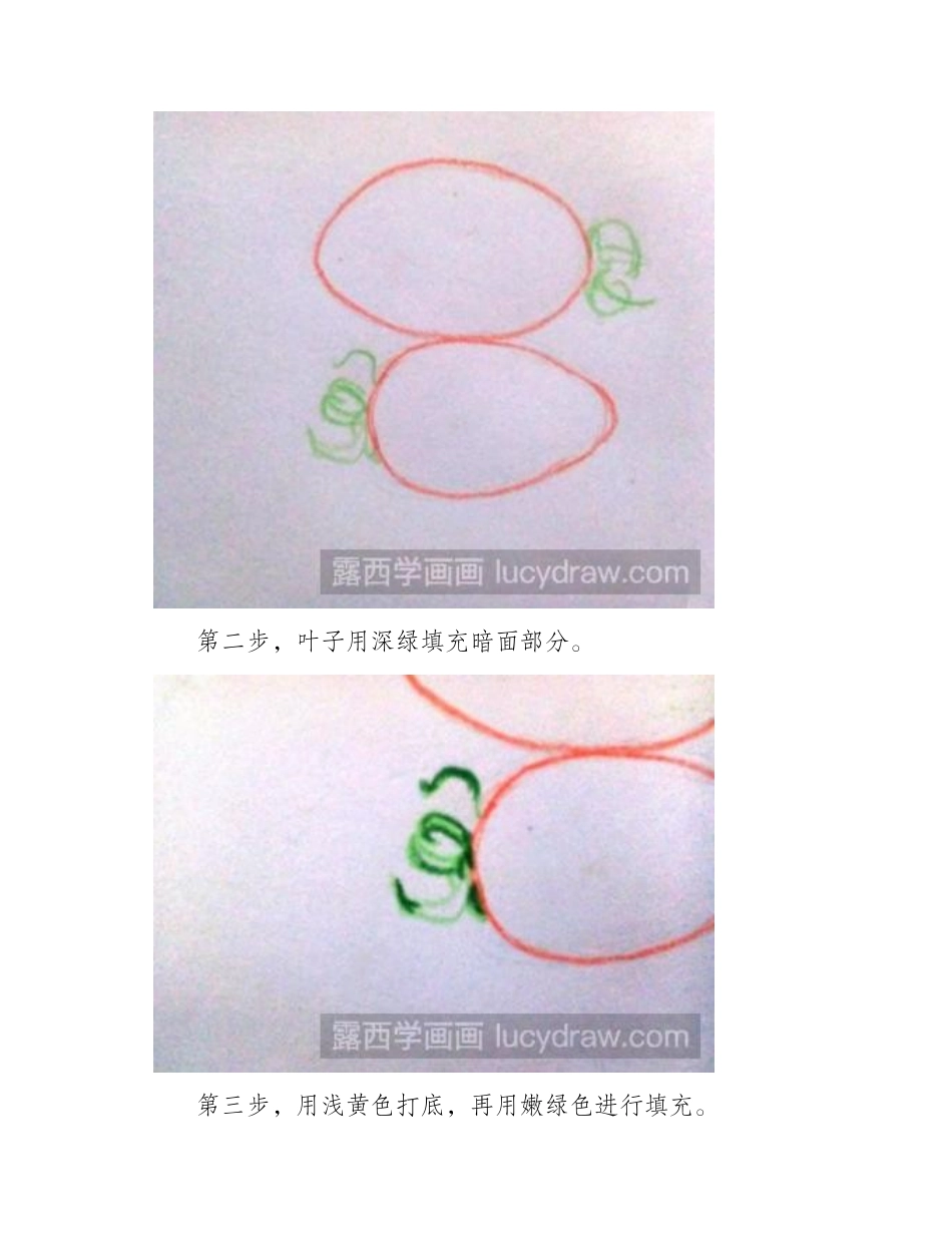 圣女果彩铅画教程彩铅画教程_第2页