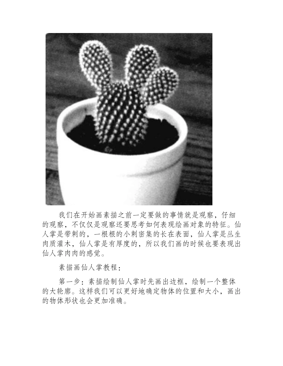 仙人掌素描教程素描教程_第2页