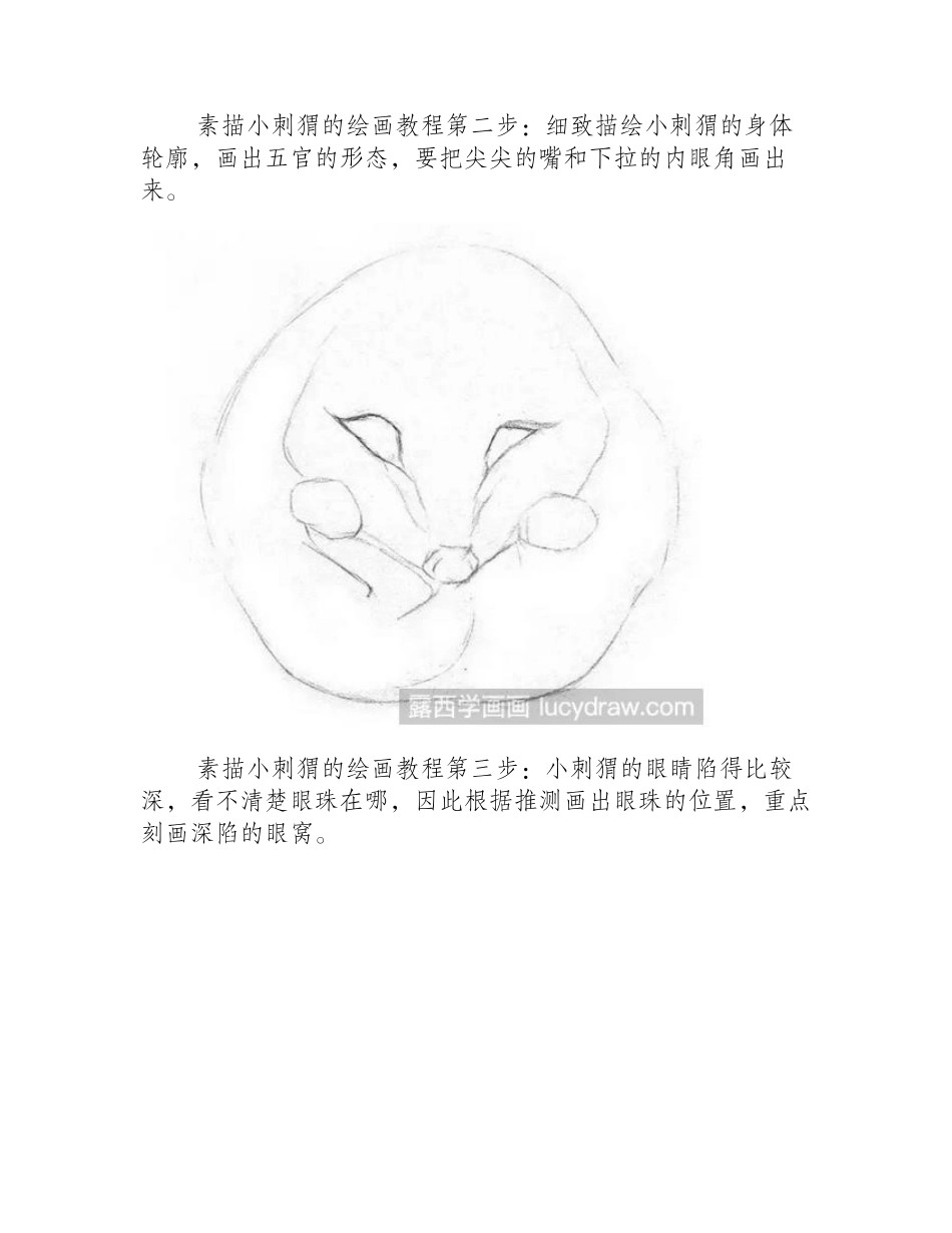 素描小刺猬教程素描教程_第2页