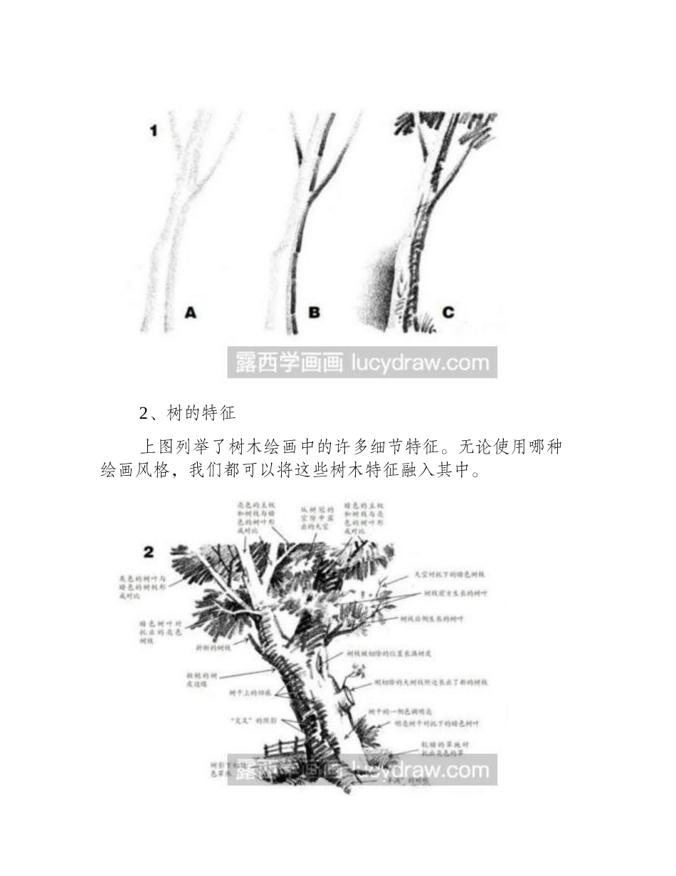 素描教程：教你画树素描教程_第2页