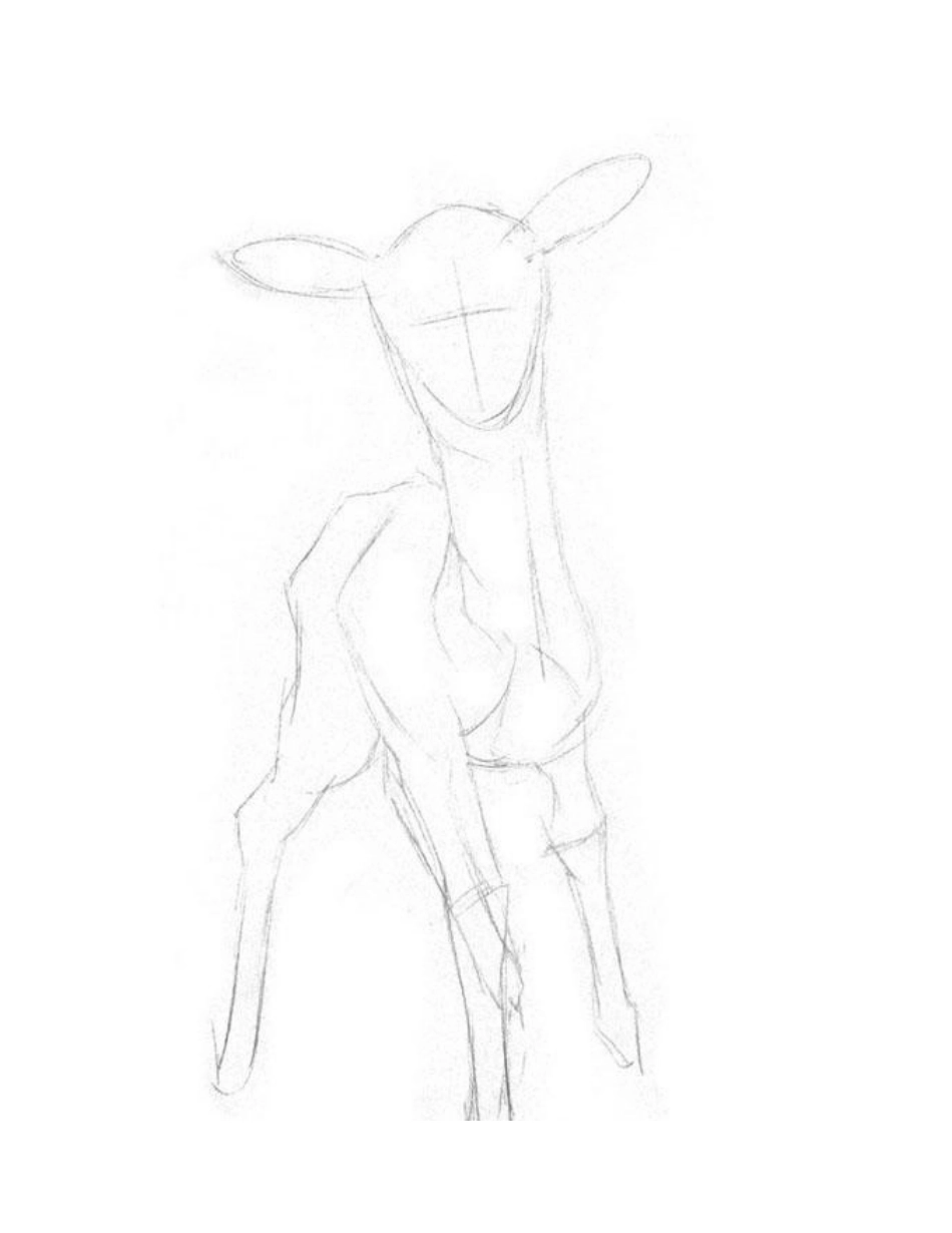 素描教程：小鹿的画法步骤素描教程_第2页