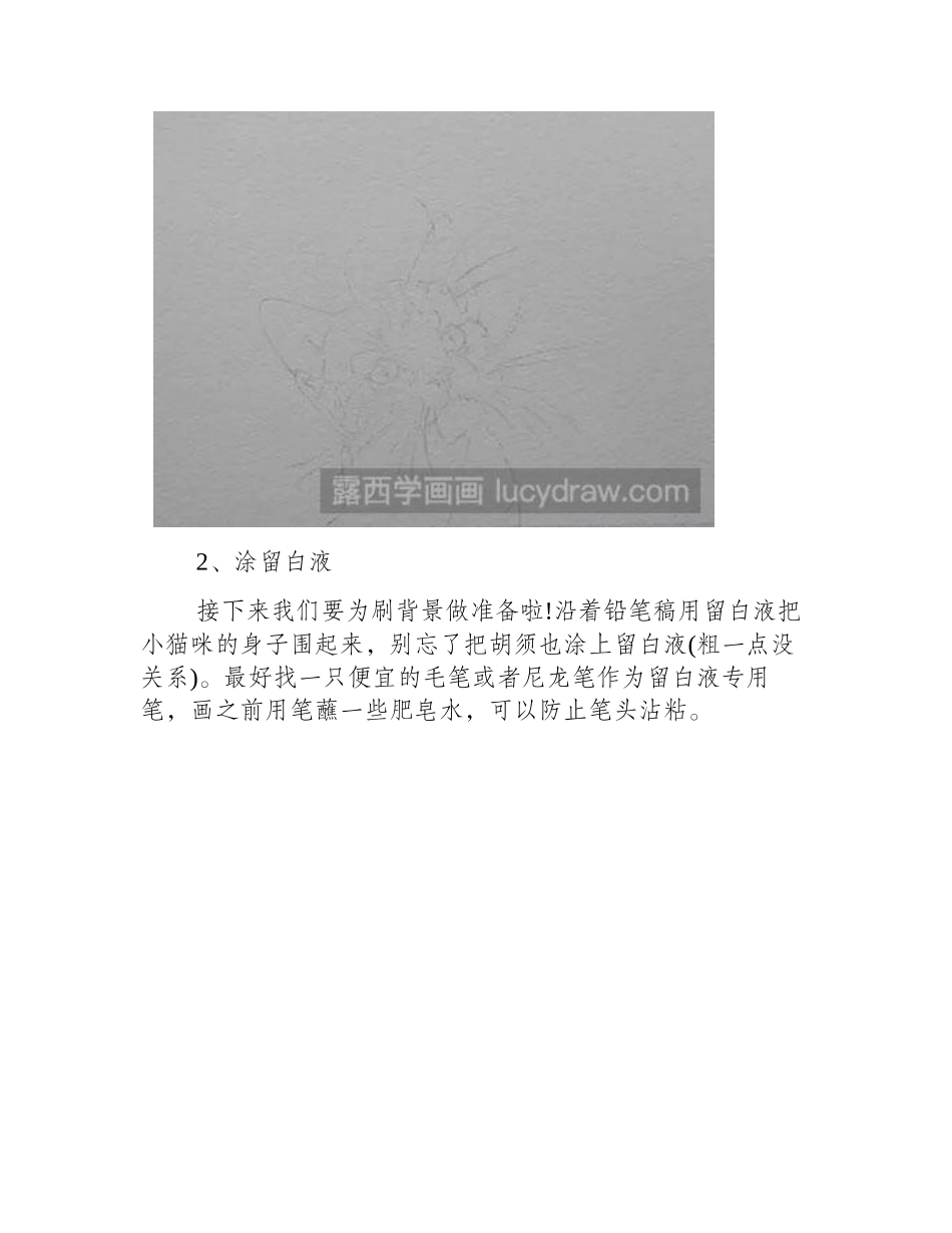 水彩画教程怎么画猫咪水彩画教程_第2页