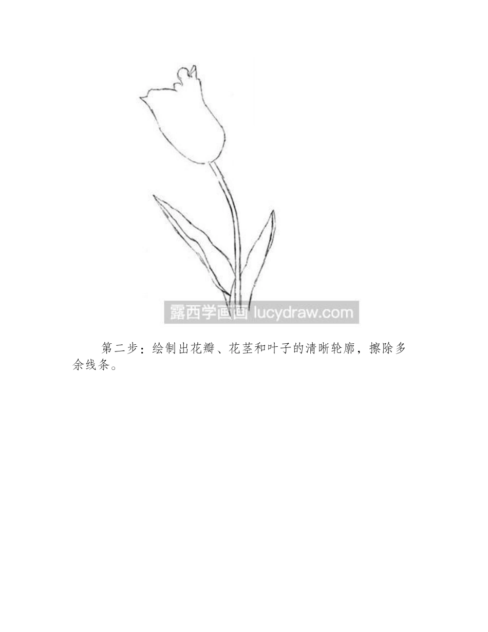 水粉画教程-郁金香怎么绘制水粉画教程_第2页