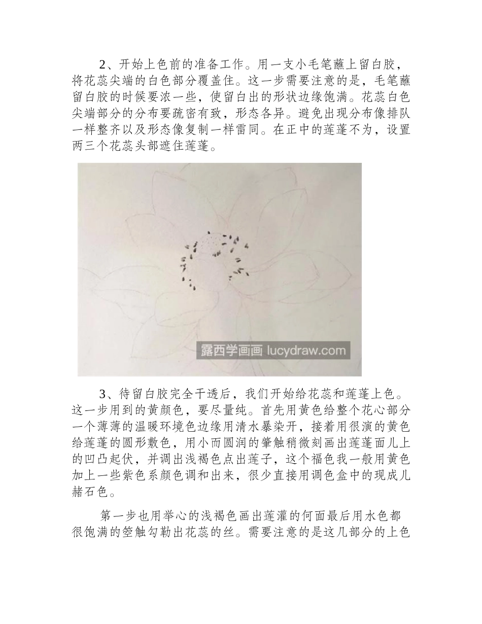 盛开的荷花怎么画_具体的水彩画法是什么_水彩画教程_第2页
