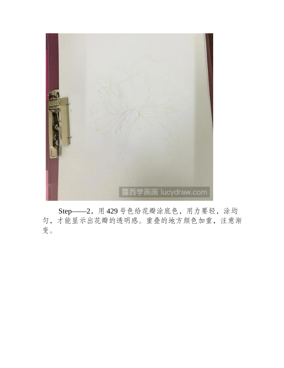 透明花彩铅画教程彩铅画教程_第2页