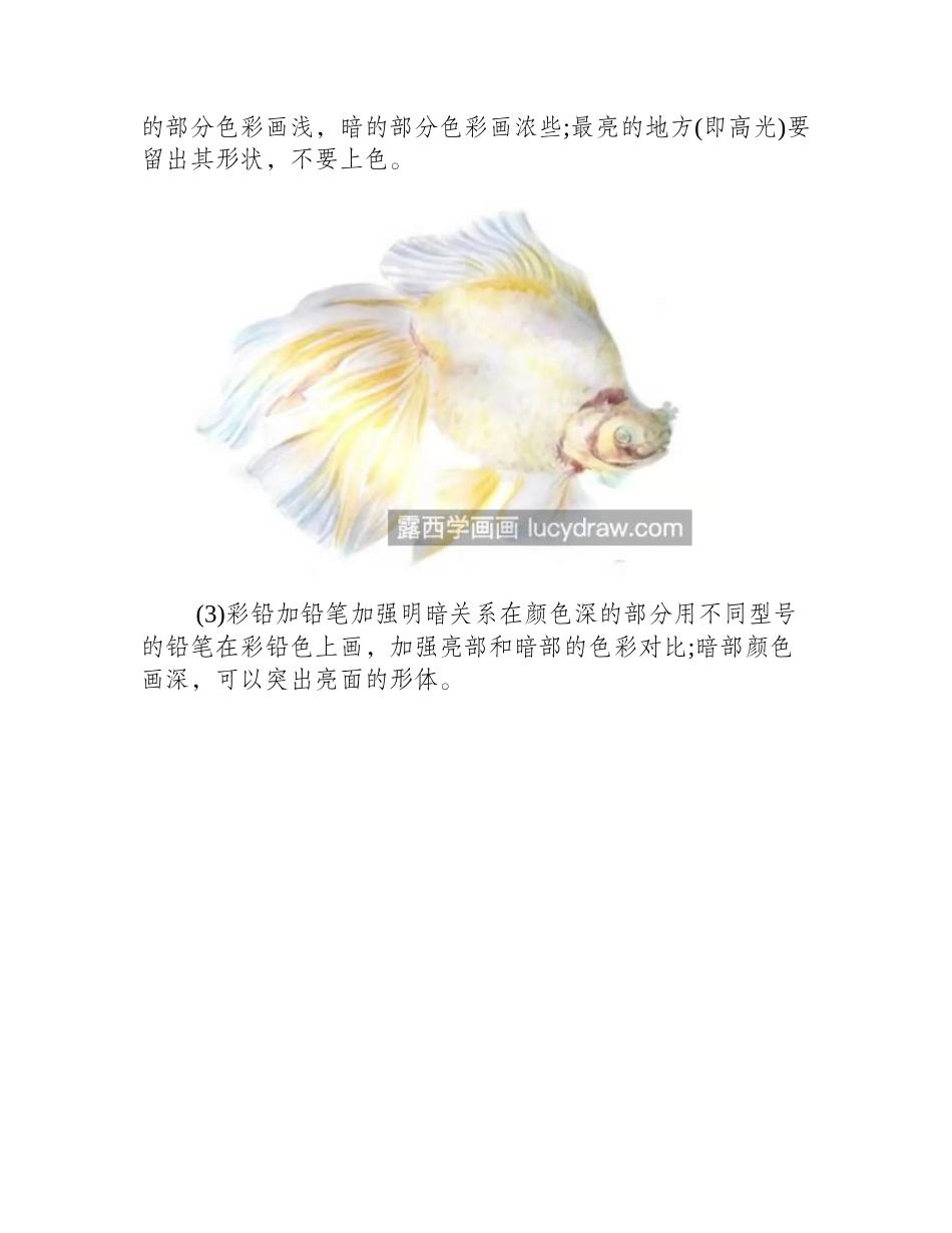 五彩金鱼怎么画_有哪些绘画步骤_儿童画教程_第2页