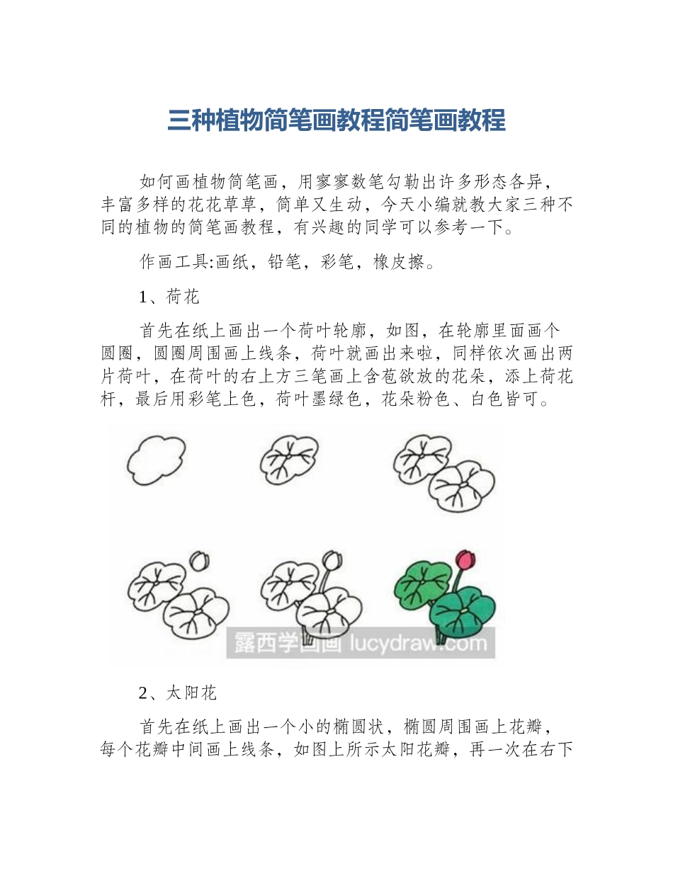 三种植物简笔画教程简笔画教程_第1页