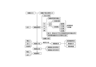 必1细胞生命历程
