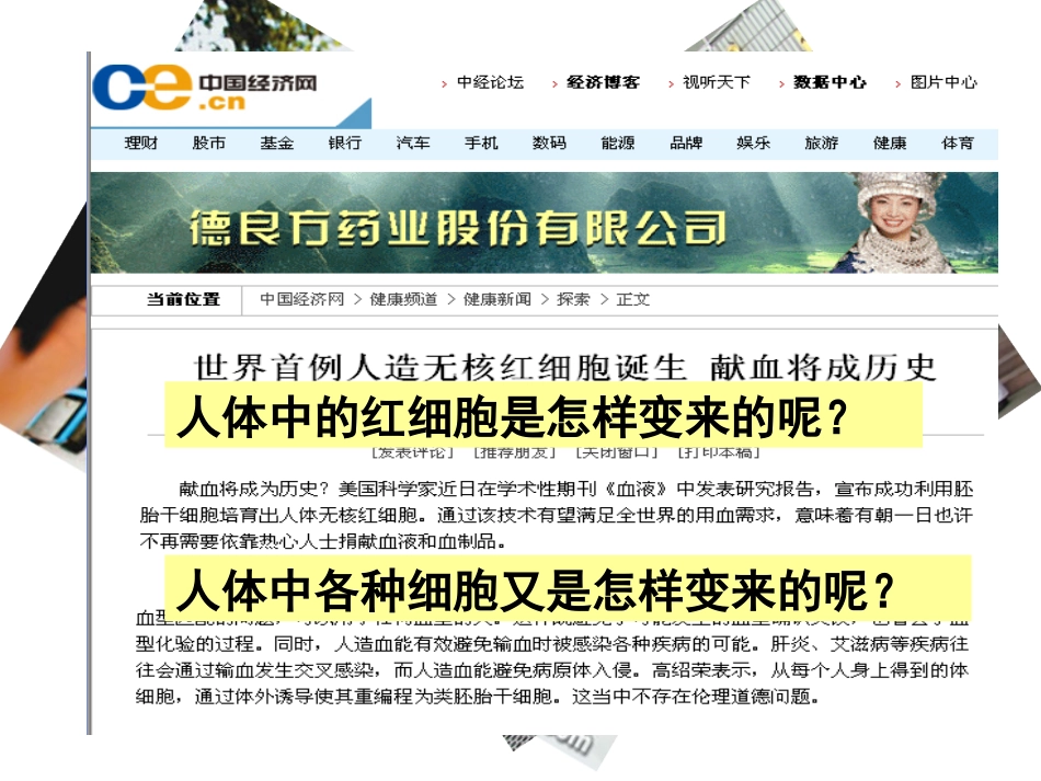 《细胞分化》课件_第2页