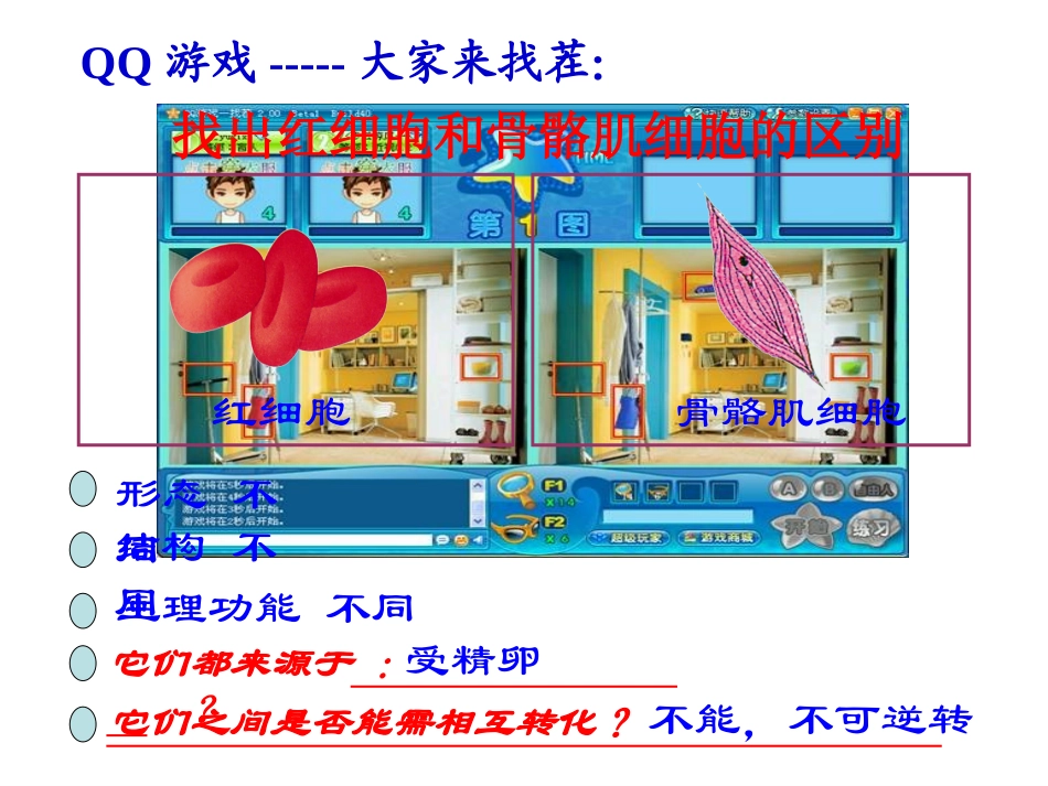 《细胞分化》课件_第3页