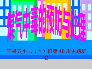 煤气中毒的预防与处理