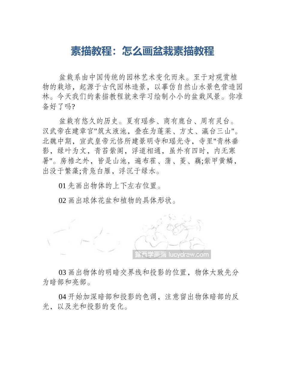 素描教程：怎么画盆栽素描教程_第1页