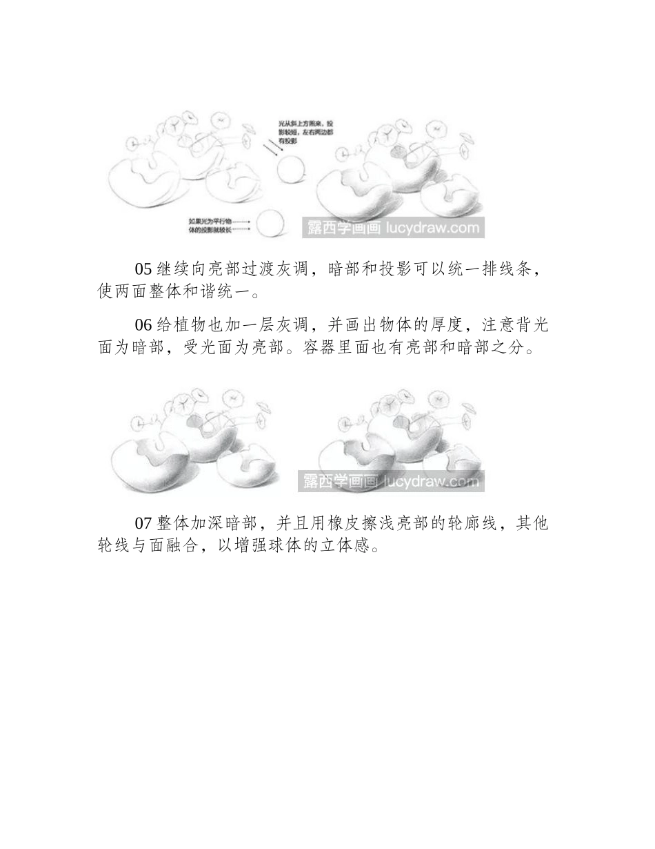 素描教程：怎么画盆栽素描教程_第2页