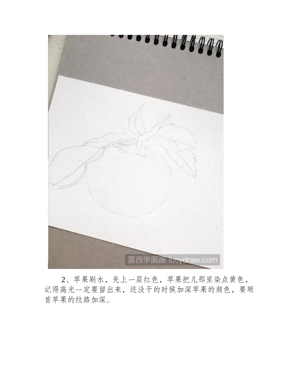 水彩静物苹果步骤，很简单!水彩画教程_第2页