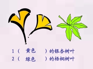 二年级语文上册19课《蓝色的树叶》