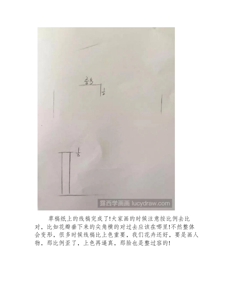 水彩马蹄莲画法教程水彩画教程1_第2页